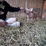 La Ferme Du Pre *