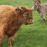 La Ferme Du Pre