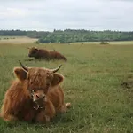 La Ferme Du Pre *