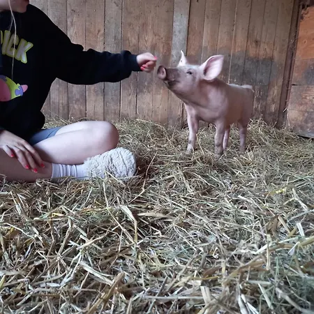 La Ferme Du Pre *
