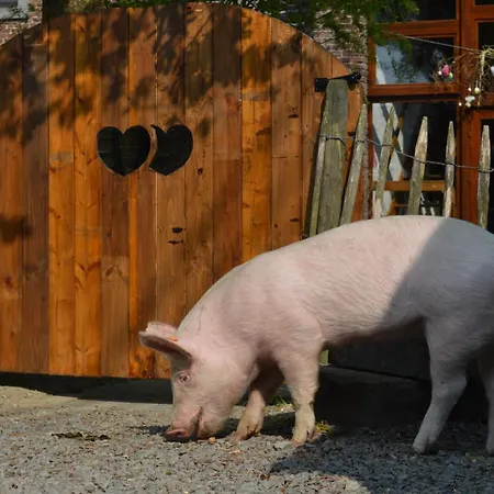 펜션 La Ferme Du Pre