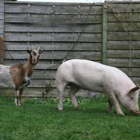 La Ferme Du Pre * 더뷔