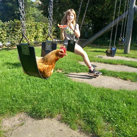 La Ferme Du Pre 펜션