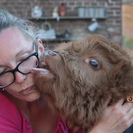 펜션 La Ferme Du Pre 더뷔