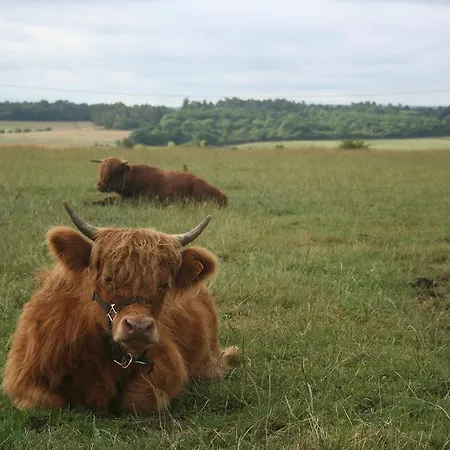La Ferme Du Pre *